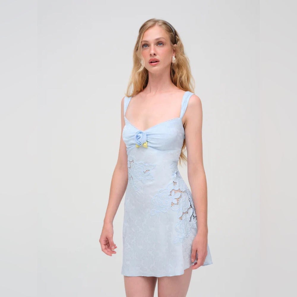 Stunning for love and lemons dress